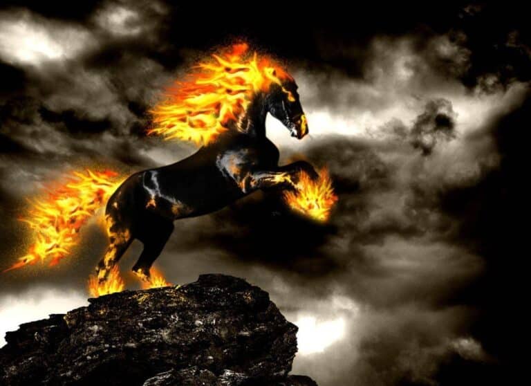 2026: The Fire Horse Year Business & Life Horoscope