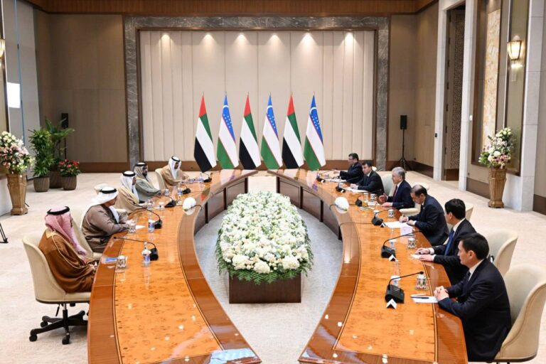 Shavkat Mirziyoyev BAA, Turkiya, Ozarbayjon va Qirgʻiziston energetika vazirlari bilan uchrashdi