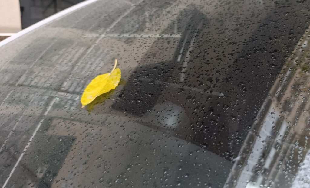 8-dekabrdan O‘zbekistonga sovuq va nam havo kirib keladi — «O‘zgidromet» 