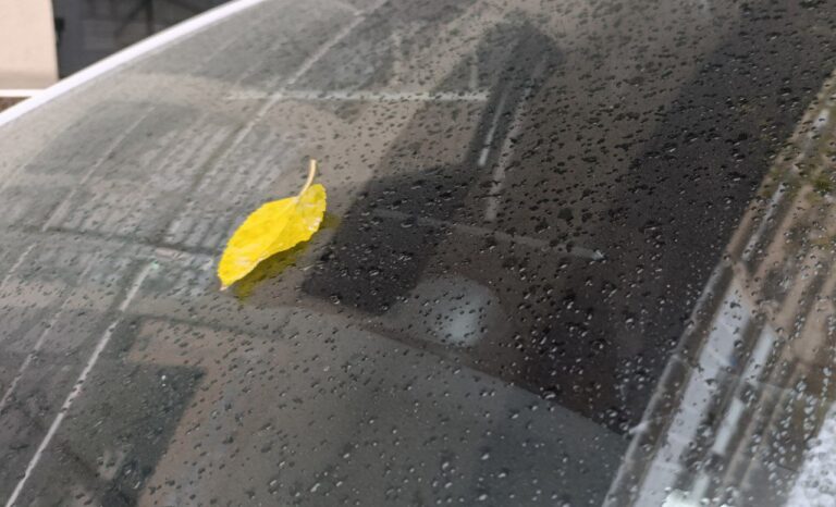 8-dekabrdan O‘zbekistonga sovuq va nam havo kirib keladi — «O‘zgidromet»