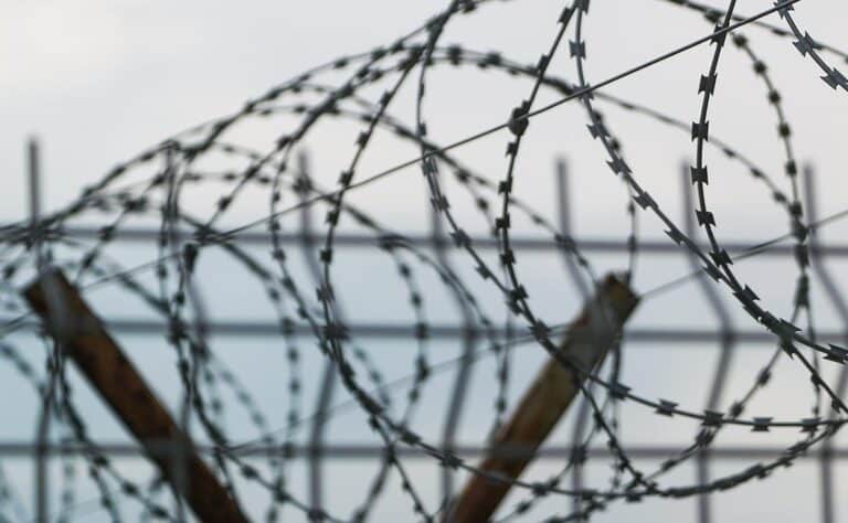 615 человек помиловали в честь Дня Конституции