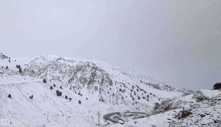 Qamchiq dovonida harakat vaqtincha to‘xtatildi