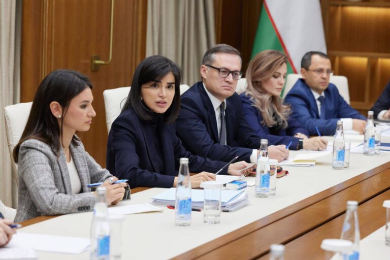 Biz oilaviy zo‘ravonlikka qarshi qonun qabul qilgan Markaziy Osiyodagi birinchi davlatmiz — Saida Mirziyoyeva