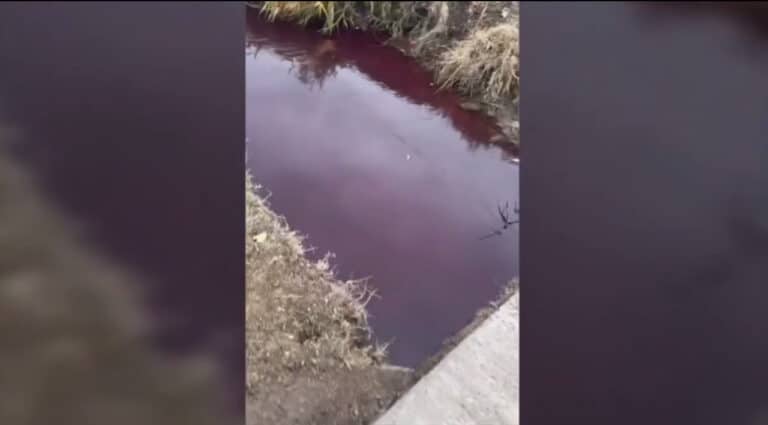 Yangihayot tumanidagi qon muammosi bo‘yicha rasmiy munosabat bildirildi