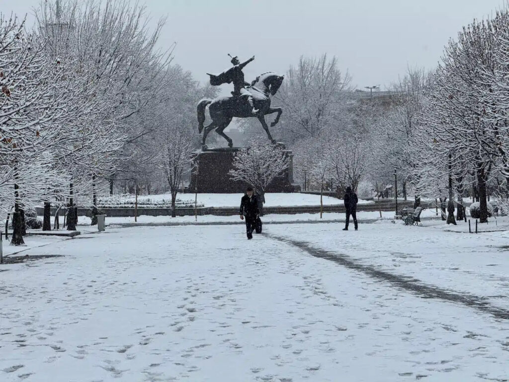 Снег в Ташкенте