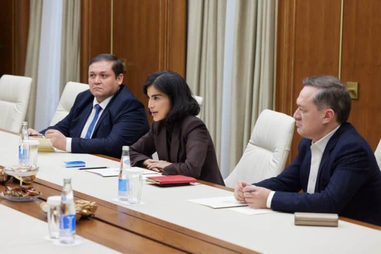 Парк Disneyland хотят открыть в Узбекистане