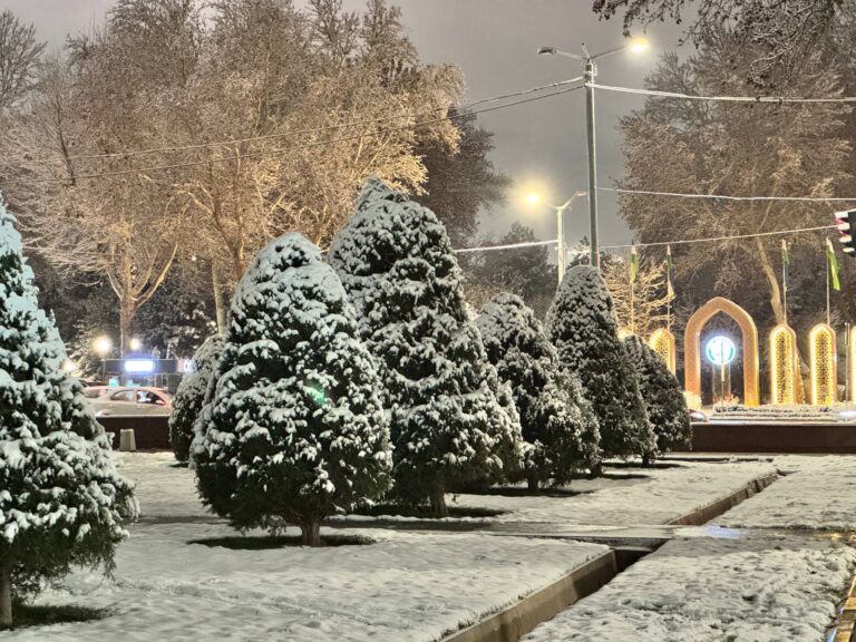 В Ташкенте 19 декабря ожидаются заморозки