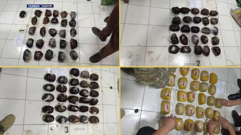 Tojikistondan 100 kilogrammdan ortiq giyohvandlik moddasini olib kirganlar qamoqqa olindi