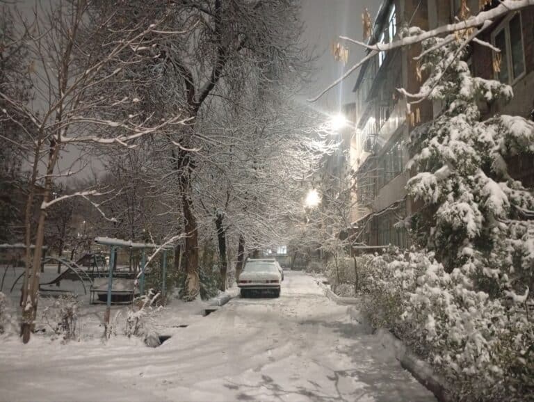 Будет ли снег на Новый год в Узбекистане