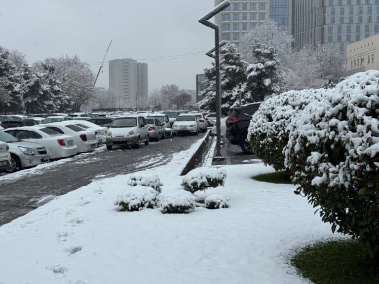 Chevrolet Tahoe 2025-yilning eng yaxshi yo‘ltanlamas modeli bo‘ldi, Toshkentda firibgar advokatga nisbatan jinoiy ish qo‘zg‘atildi — 22-dekabrning muhim hodisalari