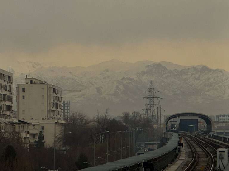 Какая погода ждет узбекистанцев 29 декабря