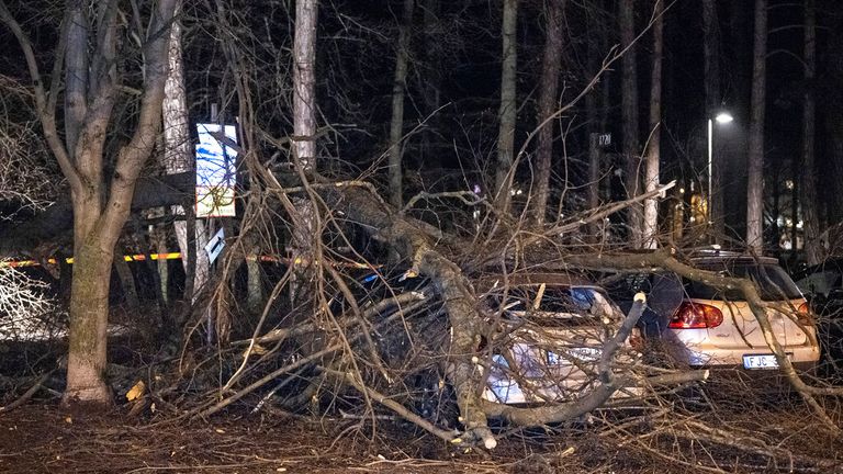 Skandinaviya davlatlarida kuchli bo‘ron oqibatida uch kishi halok bo‘ldi