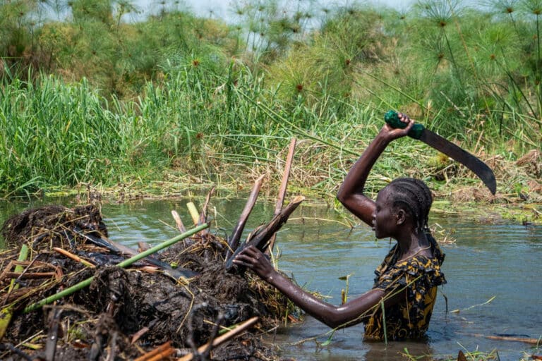 South Sudan Families Build Floating Islands to Survive Worsening Floods
