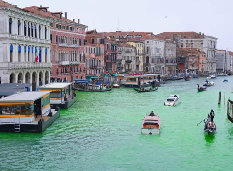 Greta Thunberg, Extinction Rebellion Dye Venice Canal Green in COP30 Protest