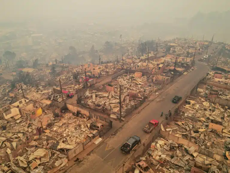 Chile Declares State of Catastrophe as Wildfires Kill at Least 18