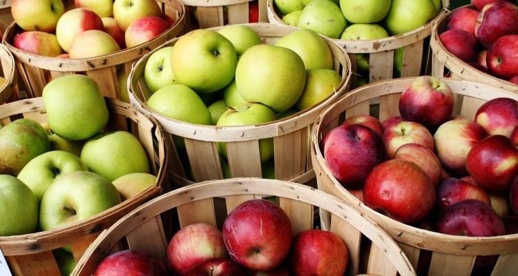 Uzbekistan Exports 25,500 Tonnes of Apples in 11 Months of 2025