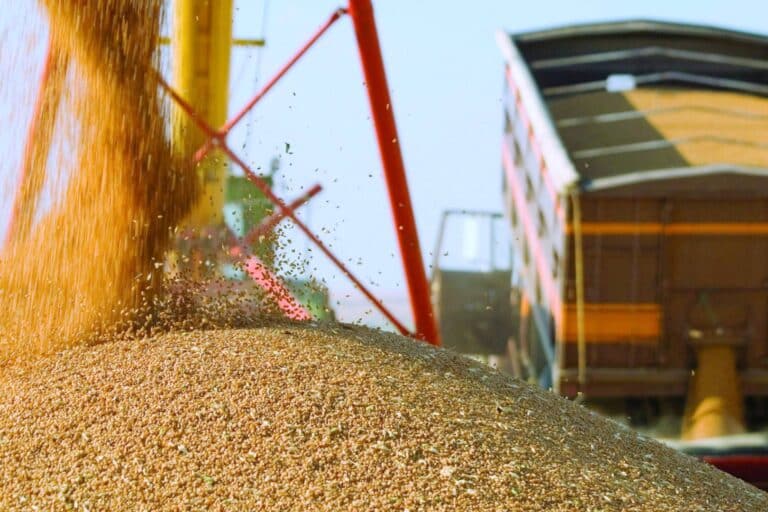 Kazakhstan Boosts Grain Export to Uzbekistan in 2025
