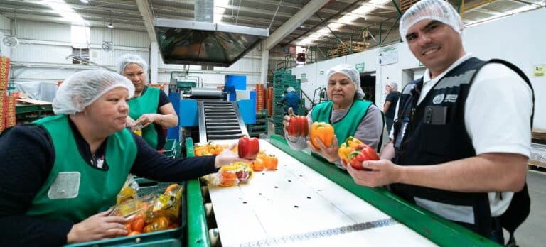 Markaziy Osiyo mamlakatlari 2026-yilda barqaror iqtisodiy o‘sishni saqlab qoladi — BMT