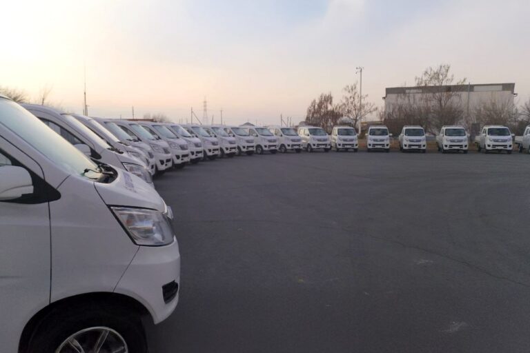 В РЭС закупили 400 китайских электромобилей