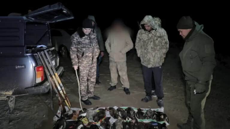 Buxoroda noqonuniy ov sabab hayvonot dunyosiga 48 mln so‘m zarar yetkazildi