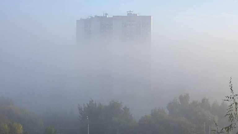 Toshkent aeroportida tuman sabab ayrim reyslar muqobil aerodromga yo‘naltirildi