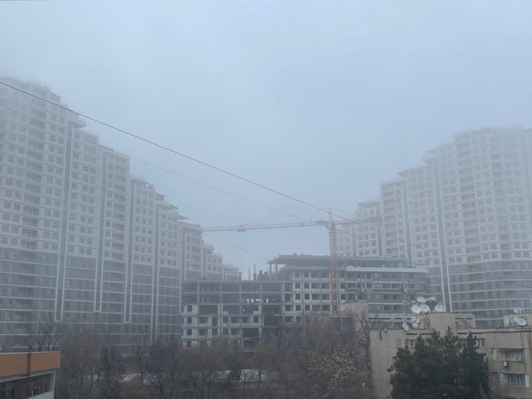 «Теплая крышка» мешает очиститься  воздуху в Узбекистане — Комитет экологии