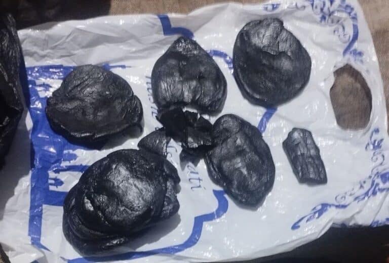 Qoraqalpog‘istonda narkosavdogarlar qo‘lga olindi