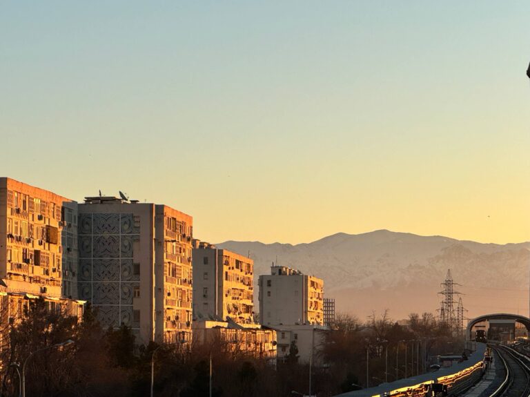 Погода в Ташкенте: в столицу возвращается весеннее тепло
