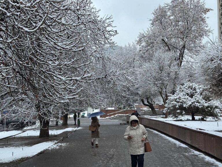 Dam olish kunlarida yomg‘ir, qor va harorat pasayishi kutilmoqda