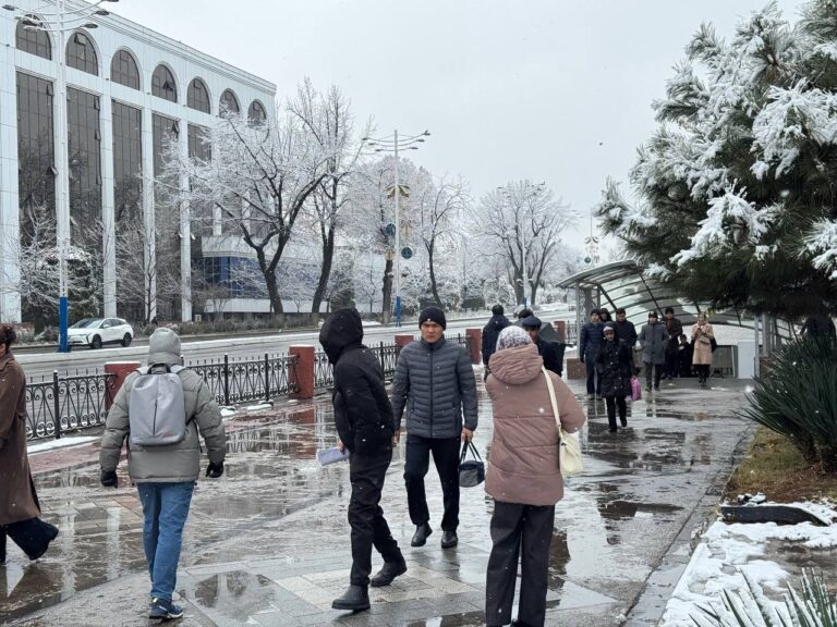 O‘zbekistonda qor, kuchli shamol va sovuq ob-havo kutilmoqda