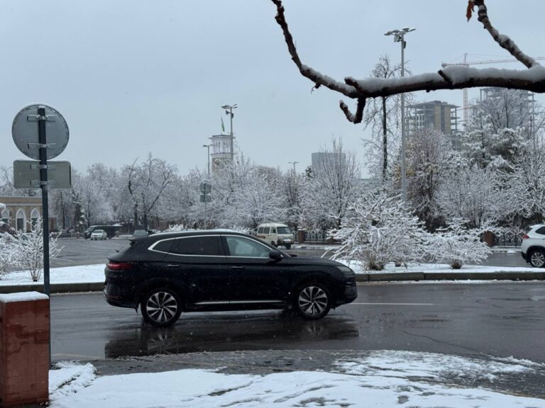 Fevralda qanday ob-havo bo‘ladi