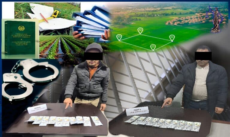 В Намангане помощник хокима и кадастровик попались на махинациях с землей