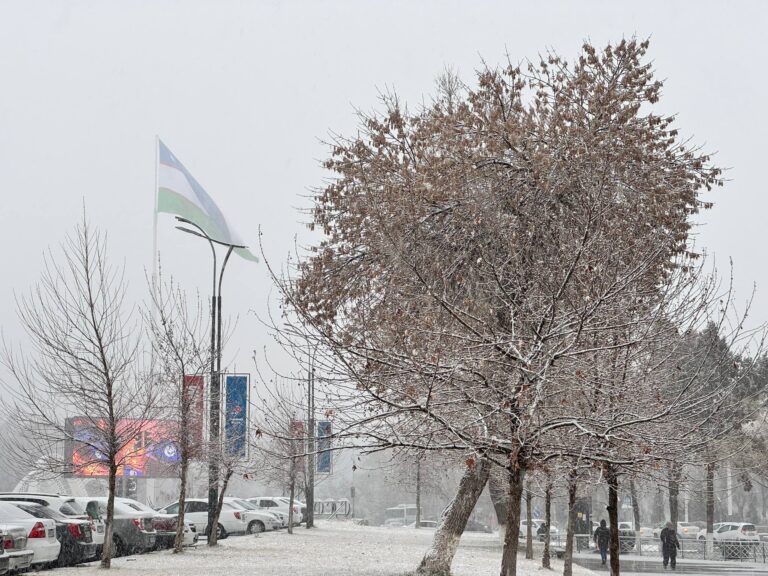 В Ташкенте 22 января ожидаются снег и туман