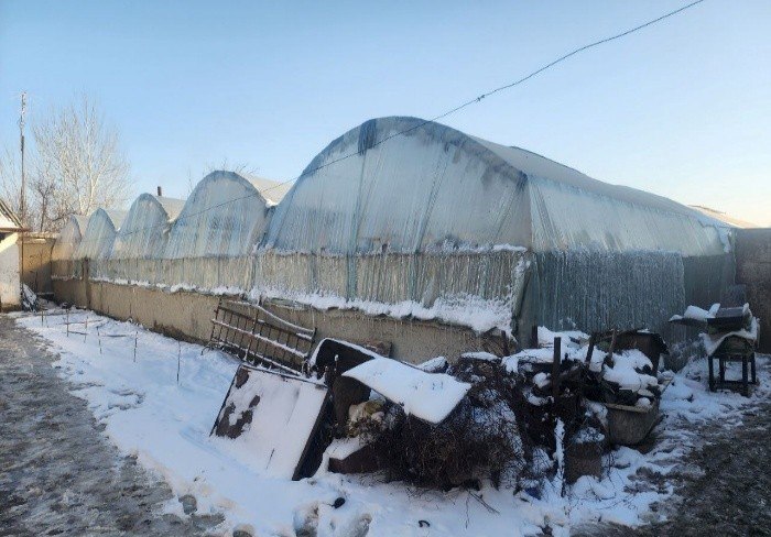 Samarqandda 440 mln so‘mlik gazdan noqonuniy foydalangan issiqxona aniqlandi