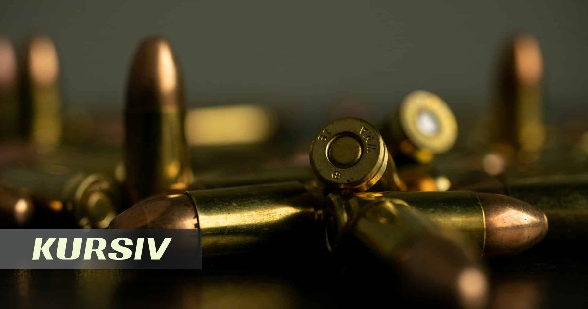 Служба госбезопасности пресекла оборот патронов в Навои