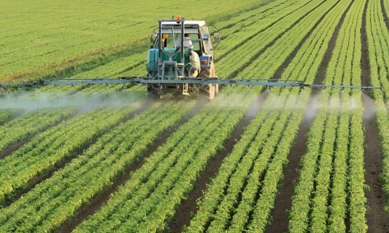 В Узбекистане действует 395,6 тыс. дехканских хозяйств — Нацкомстат