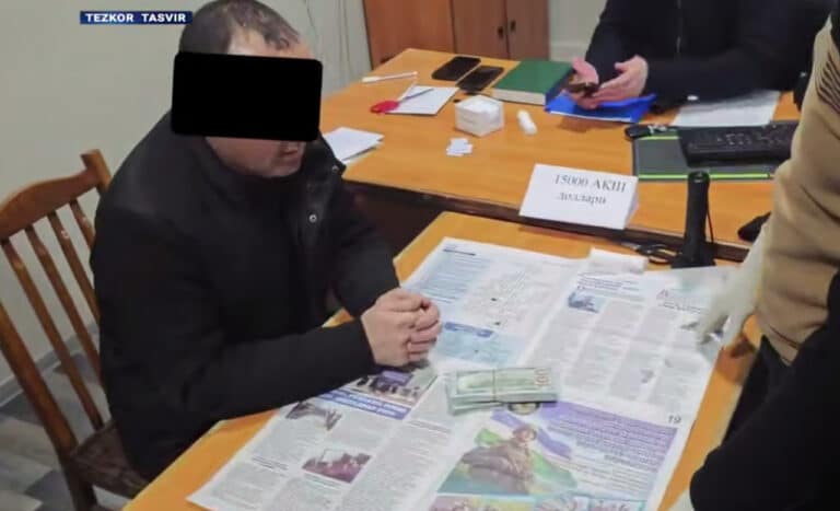 Pop ixtisoslashtirilgan davlat o‘rmon xo‘jaligida noqonuniy holatlar fosh etildi