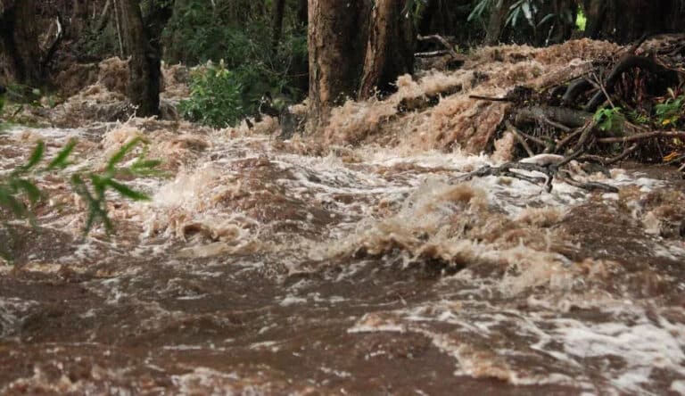 O‘zbekistonning 8 ta viloyatida sel-suv toshqini xavfi e’lon qilindi