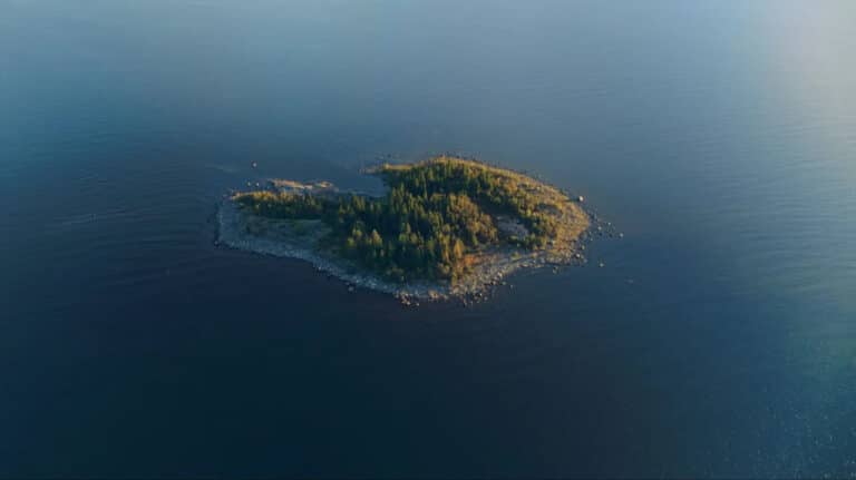 Shvetsiya beshta orolini tekinga sovg‘a qilmoqda — o‘zbekistonliklar ham qatnashishi mumkin