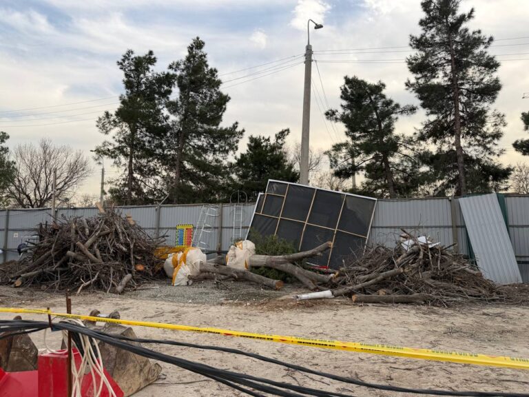 Toshkentdagi Ritz-Carlton mehmonxonasi qurilishi sabab 12 tup daraxt olib tashlandi