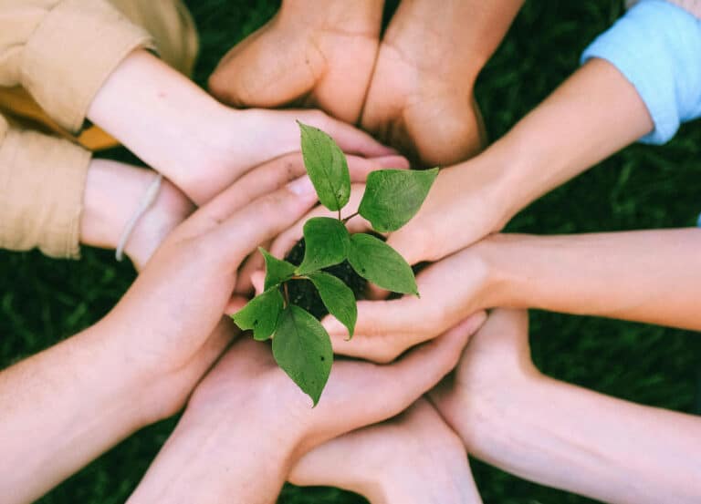 “Volontyorlikni qo‘llab-quvvatlash” jamg‘armasi tashkil etiladi