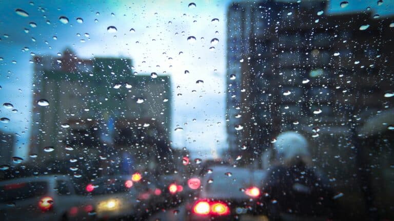 Дожди и грозы: прогноз погоды в Ташкенте на 21 февраля