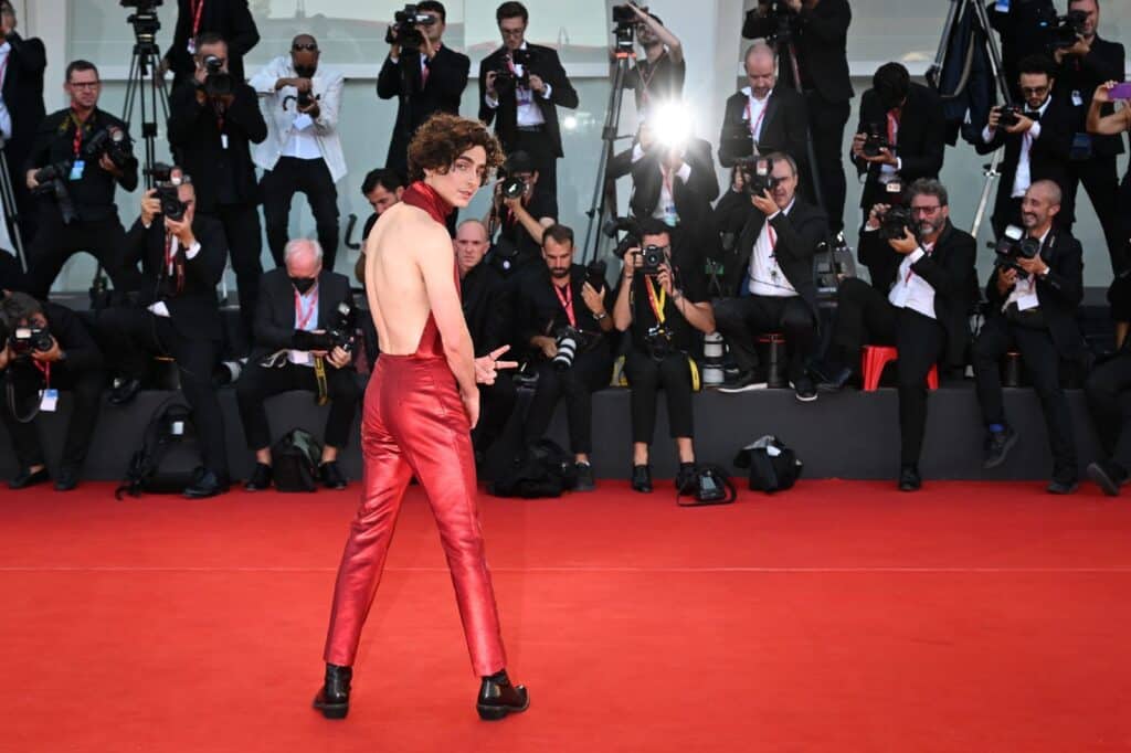 The Evolution of Timothee Chalamet: From Indie Darling to Hollywood Establishment