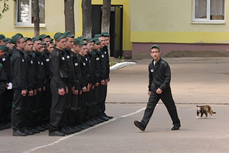 Учеба без прогулов: молодежь в колониях отправят на языковые курсы