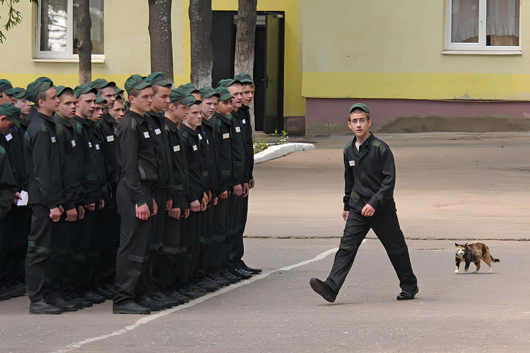 молодежь