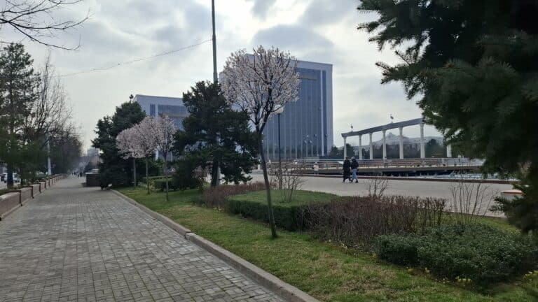 Oʻzbekistonning oltin-valyuta zaxiralari oshdi, Xitoy milliarderlar soni boʻyicha AQShni ortda qoldirdi — 7-mart kungi yangiliklar dayjesti