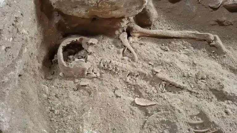 Archaeologists Find Skeleton of Famed Musketeer d'Artagnan