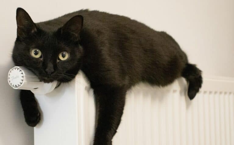 Модернизация инфраструктуры помогла Ташкенту снизить теплопотери до 27,7% в 2025 году