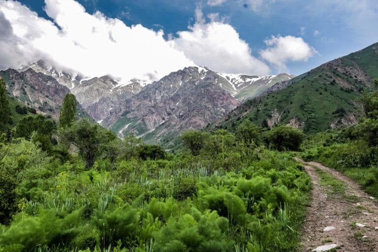 В девяти регионах Узбекистана ожидаются сели и паводки — Узгидромет