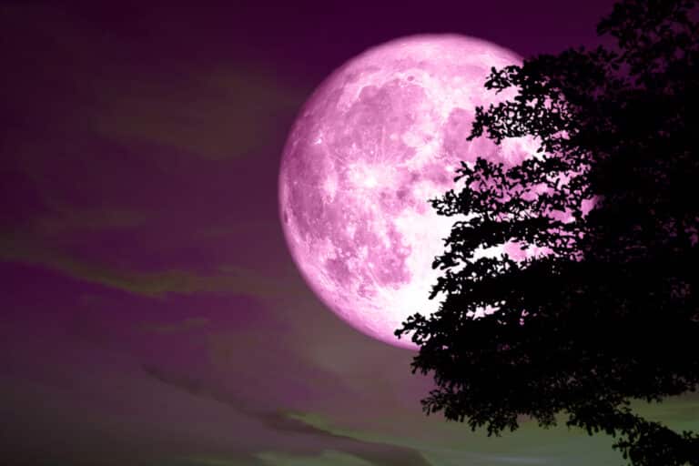 Розовая Луна 2 апреля: кому из знаков зодиака ждать перемен